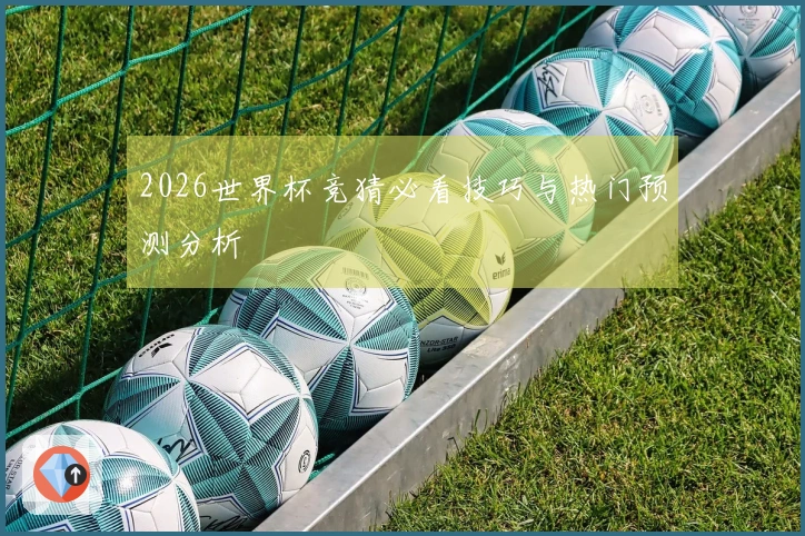 2026世界杯竞猜必看技巧与热门预测分析