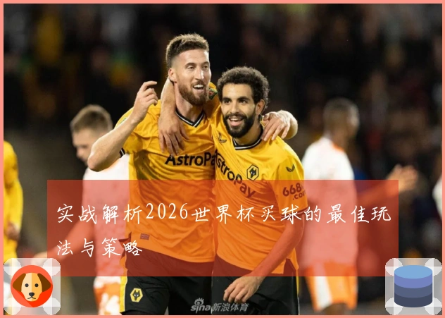 实战解析2026世界杯买球的最佳玩法与策略