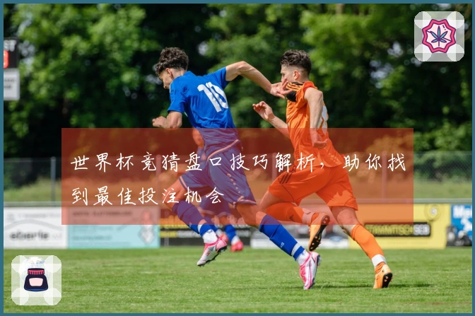 世界杯竞猜盘口技巧解析，助你找到最佳投注机会