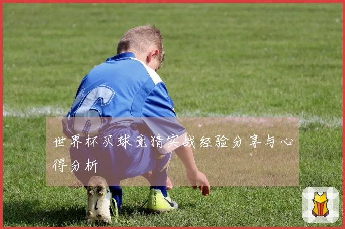 世界杯买球竞猜实战经验分享与心得分析