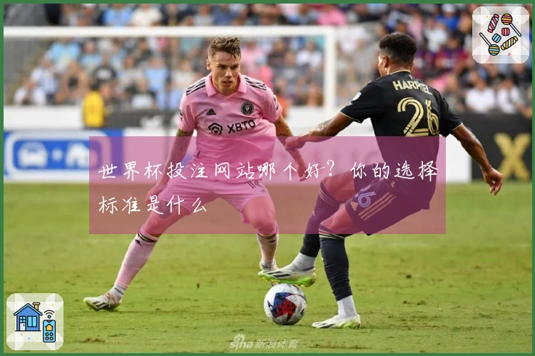 世界杯投注网站哪个好？你的选择标准是什么