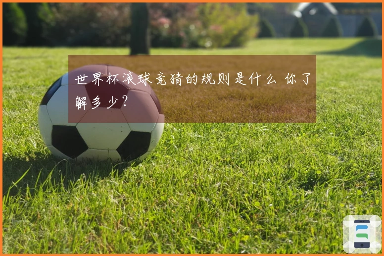 世界杯滚球竞猜的规则是什么 你了解多少？