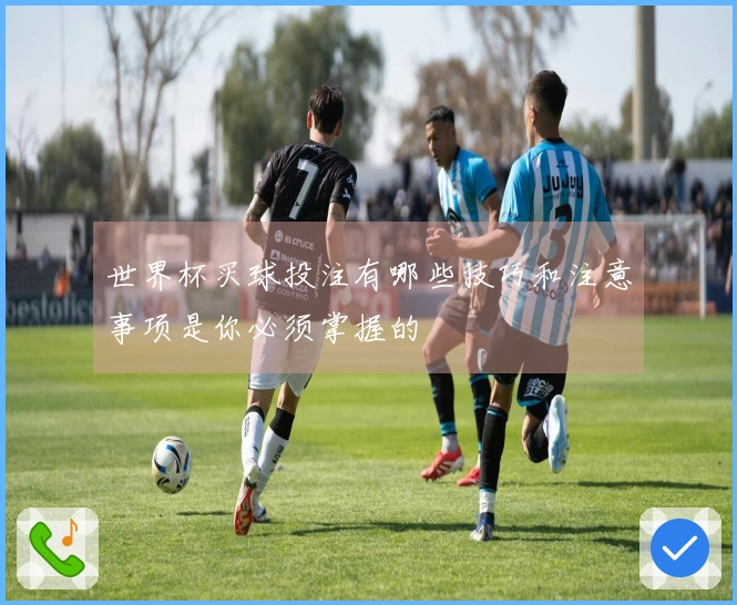 世界杯买球投注有哪些技巧和注意事项是你必须掌握的