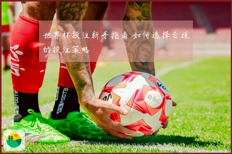 世界杯投注新手指南 如何选择合适的投注策略